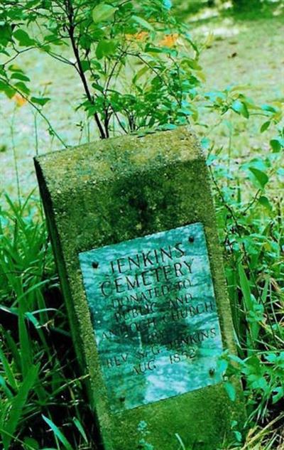 Jenkins Family Cemetery (Berney Station) on Sysoon