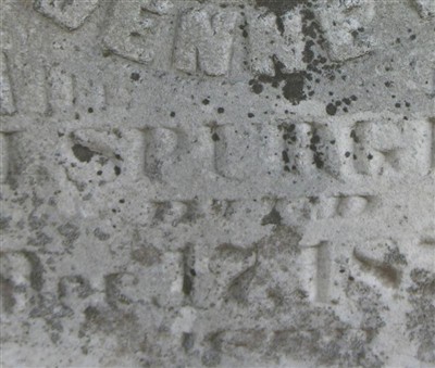Jenne T. Spurgon on Sysoon