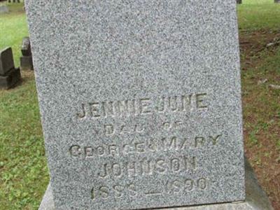 Jennie June Johnson on Sysoon
