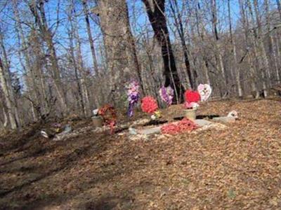 Jennings Family Cemetery on Sysoon