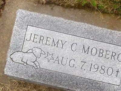 Jeremy C. Moberg on Sysoon