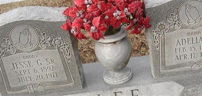 Jesse Garnet Lee, Sr on Sysoon