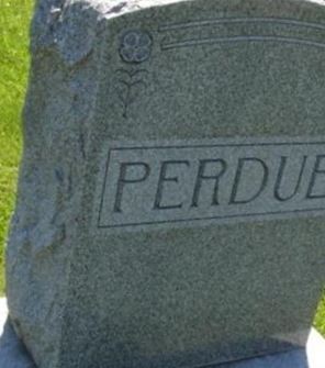 Jessie Blanche Perdue on Sysoon
