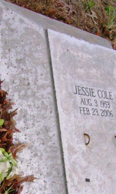 JESSIE COLE on Sysoon
