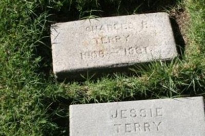 Jessie Gay "Nannie" Olmstead Terry on Sysoon
