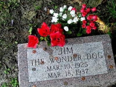 "Jim" The Wonder Dog on Sysoon