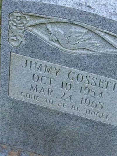 Jimmy Gossett on Sysoon