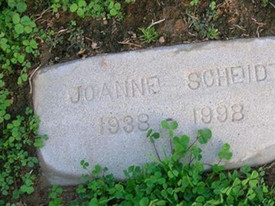 Joanne Scheidt on Sysoon