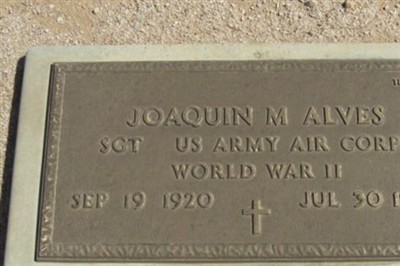 Joaquin M Alves on Sysoon