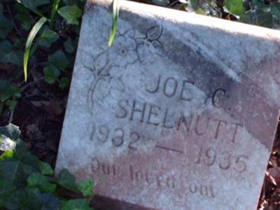 Joe C. Shelnutt on Sysoon