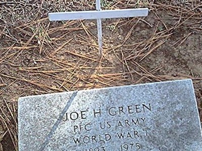 JOE H GREEN on Sysoon