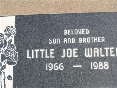 Joe "Little" Walter on Sysoon