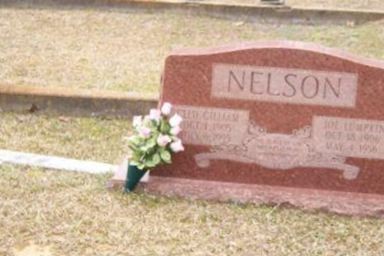 Joe Lumpkin Nelson on Sysoon