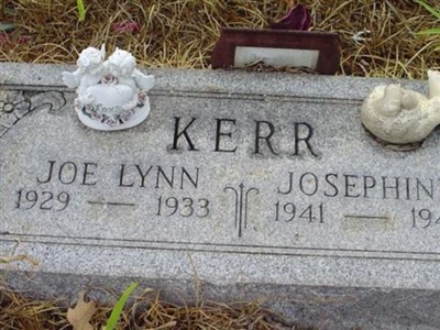 Joe Lynn Kerr on Sysoon