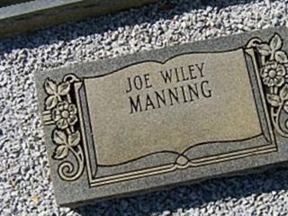 Joe Wiley Manning on Sysoon