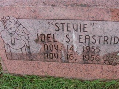 Joel S. "Stevie" Eastridge on Sysoon