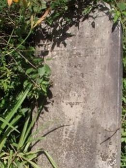 Johan C Scheu, Find a grave on Sysoon Johan C Scheu on Sysoon