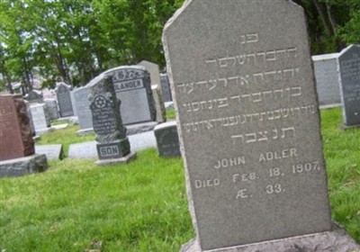 John Adler on Sysoon