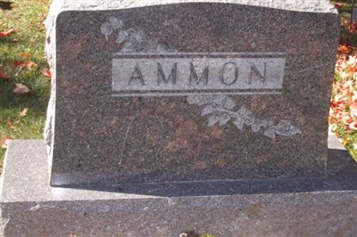 John Ammon on Sysoon