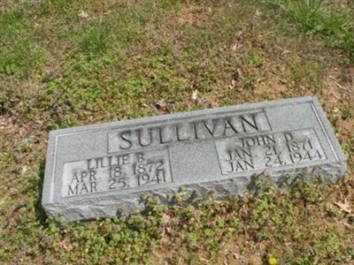 John Dan Sullivan on Sysoon