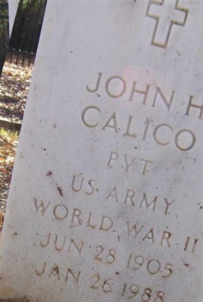 John H Calico on Sysoon