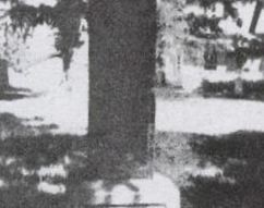 John Henry West on Sysoon