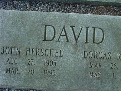 John Herschel David on Sysoon