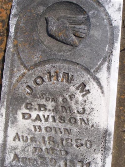 John M. Davison on Sysoon