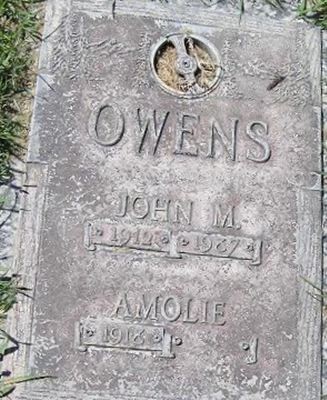 John M Owens on Sysoon