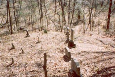 John Mann Cemetery on Sysoon