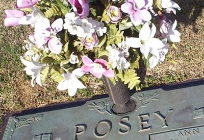 John Posey on Sysoon