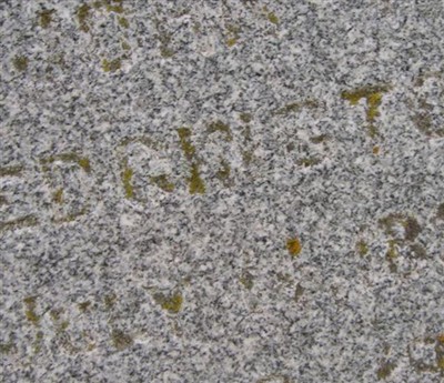 John T Edgington on Sysoon