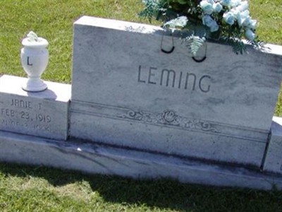 John W. Leming on Sysoon