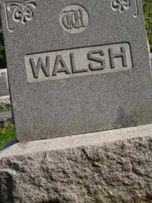 John Walsh on Sysoon