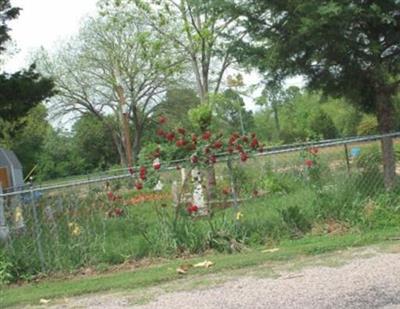 Johnson Cemetery on Sysoon