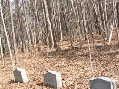 Johnson - Riggsbee - Nunn Family Cemetery on Sysoon