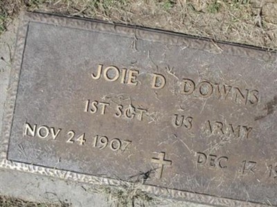 Joie D. Downs on Sysoon