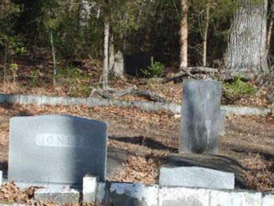 Jones Family Cemetery on Sysoon