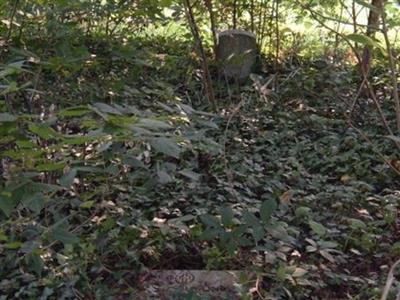 Jones Family Cemetery on Sysoon