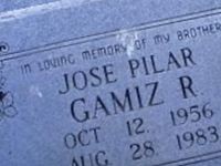 Jose Pilar Gamiz R on Sysoon