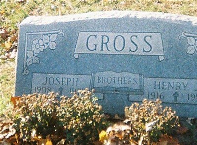 Joseph Gross on Sysoon