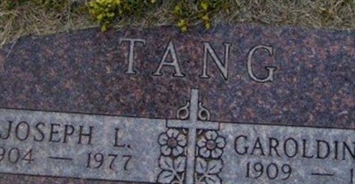 Joseph L Tang on Sysoon