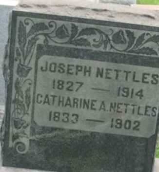 Joseph Nettles on Sysoon