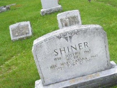 Joseph Shiner on Sysoon