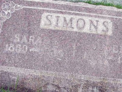 Joseph Simons on Sysoon