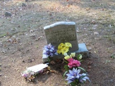 Letha Josephine Bertha Hallmark Buckner on Sysoon