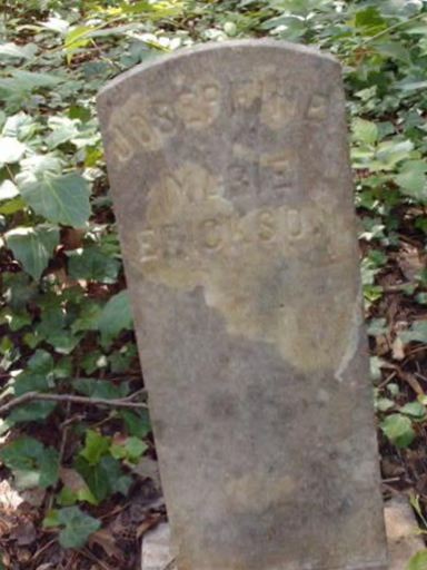 Josephine Marie Erickson on Sysoon