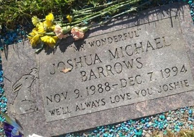 Joshua Michael Barrows on Sysoon