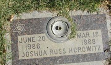 Joshua Russ Horowitz on Sysoon