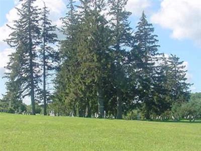 Joy Cemetery in Hamlet of Joy on Sysoon